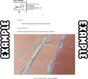 Rapport Assurance